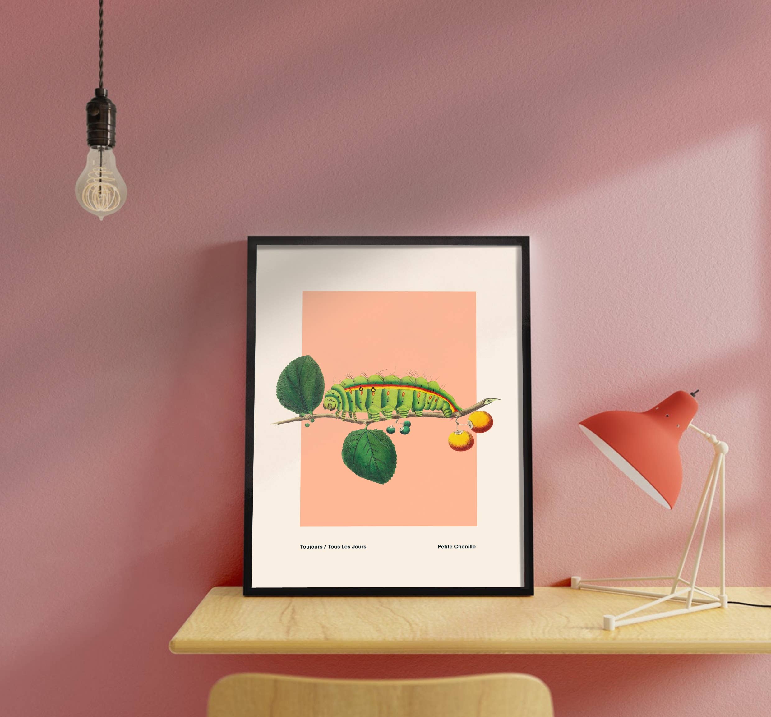 Kate Fox Design – wholesale Art print – Bug Art Print, Green, Blue, Red., Vintage, Insect Art6