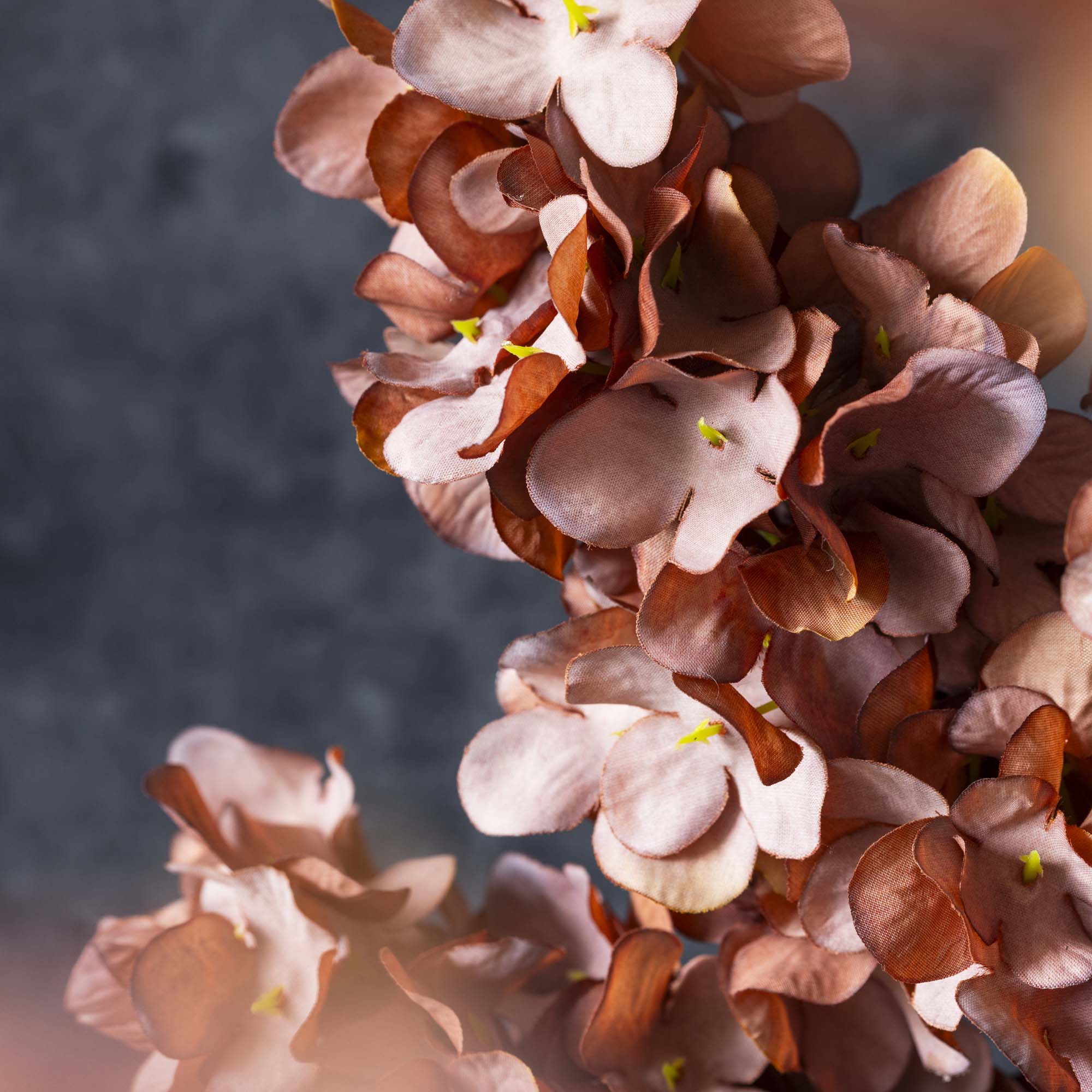 Abigail Ahern - Vente Fleurs artificielles - HORTENSIA CONIQUE ARTIFICIEL, ROSE ANTIQUE1