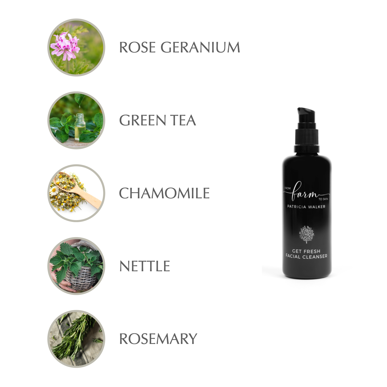 Farm to Skin - Wholesale Facial Cleanser - Get Fresh Facial Cleanser7