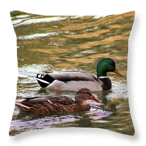 ALMOHADA «THE DUCKS FRIENDLY WALK» para venta al por mayor de sorayadapuzzostore