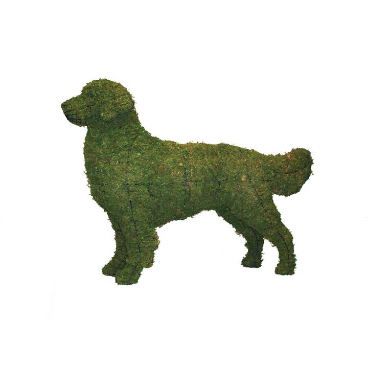 Golden Retriever - 31" (Mossed) for wholesale by Braun