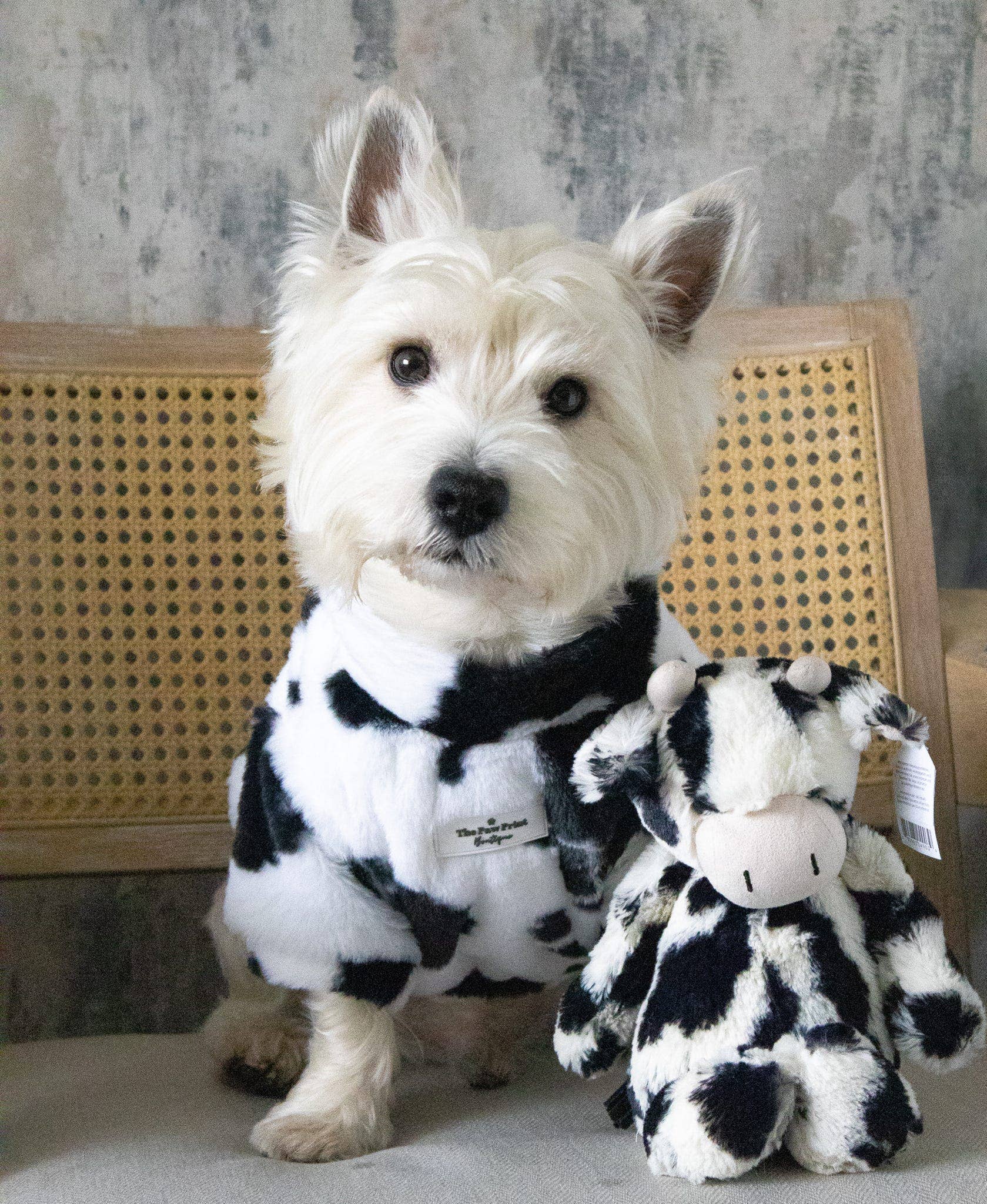 The Paw Print Boutique - Wholesale Pet Coat - Dog - The Cow Print Fluffy & Fabulous Fleece11