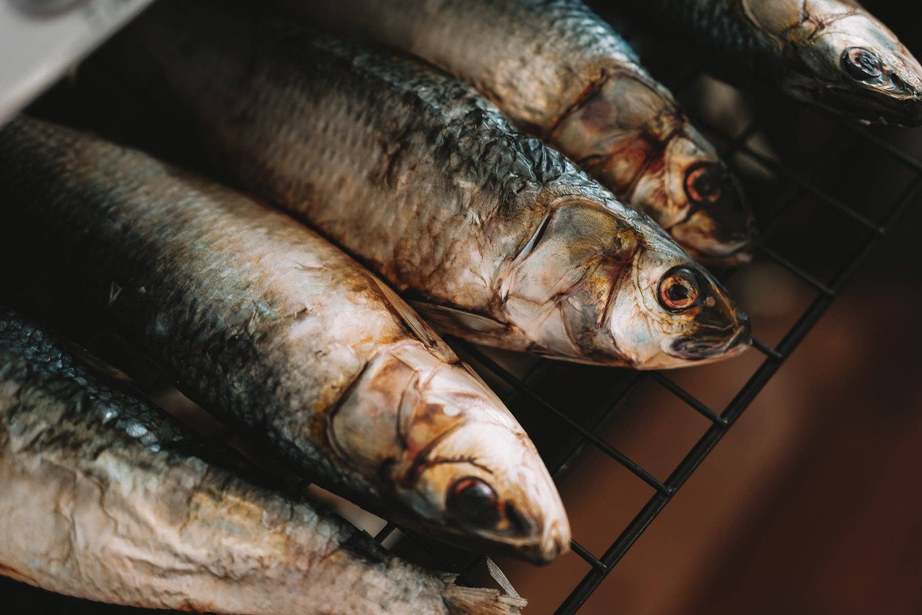 Wild n Fresh Treats – wholesale Pet treats – Dog – Dehydrated Whole Sardines (Wild Caught)4