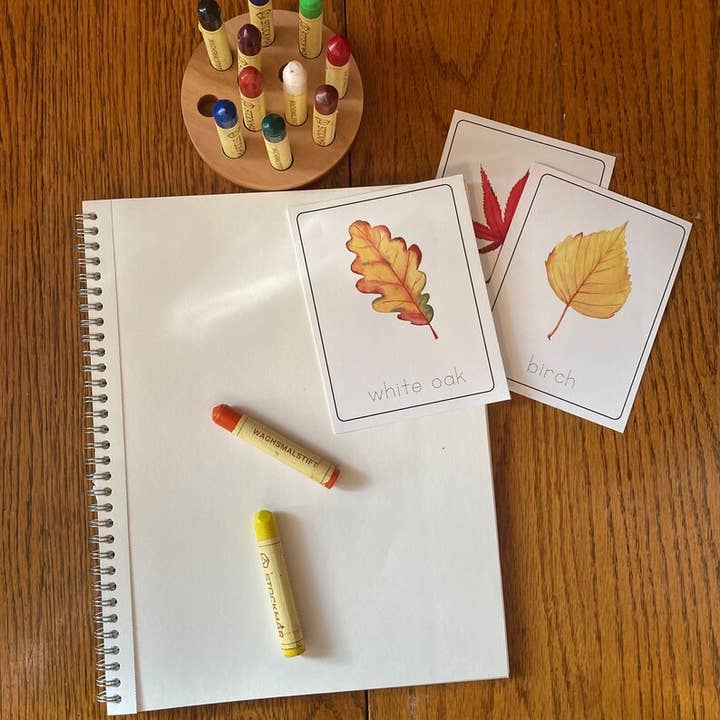 Troyohouse - Wholesale Crayons – Child & baby - Handmade Stockmar Wooden Crayon Holder -Waldorf - Montessori9