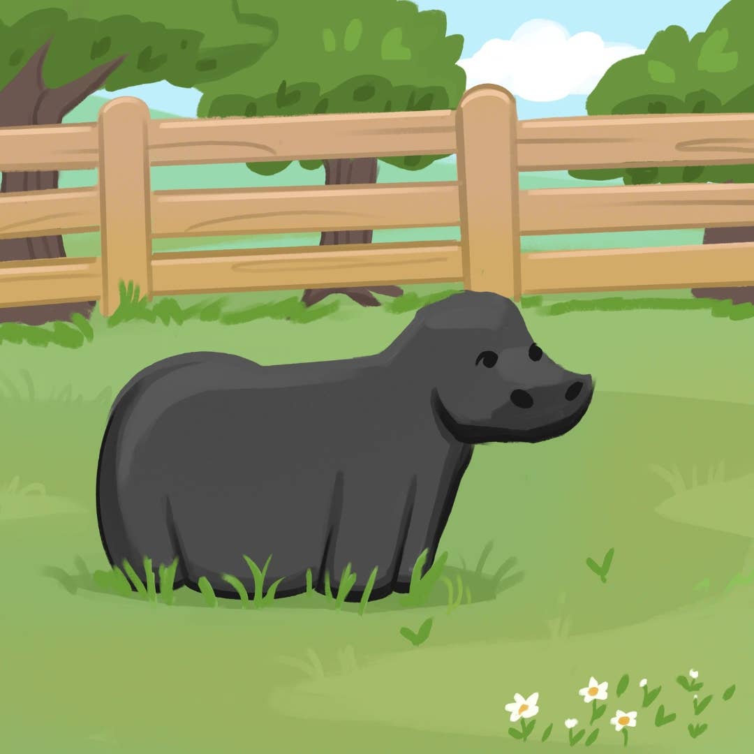 Buckaroo Beau Books - Wholesale Early Reader Book (6-8) - Hardcover: Cowgirl Callie's Breakaway Dreams2