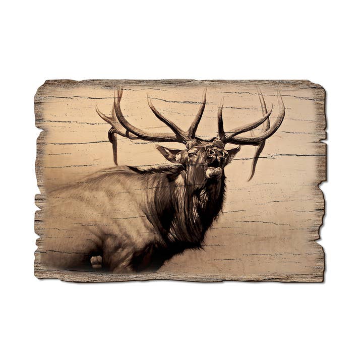 Cartes postales et aimants Heard Bull Elk - Wood Rustic Edge pour la vente par DaydreamHQ