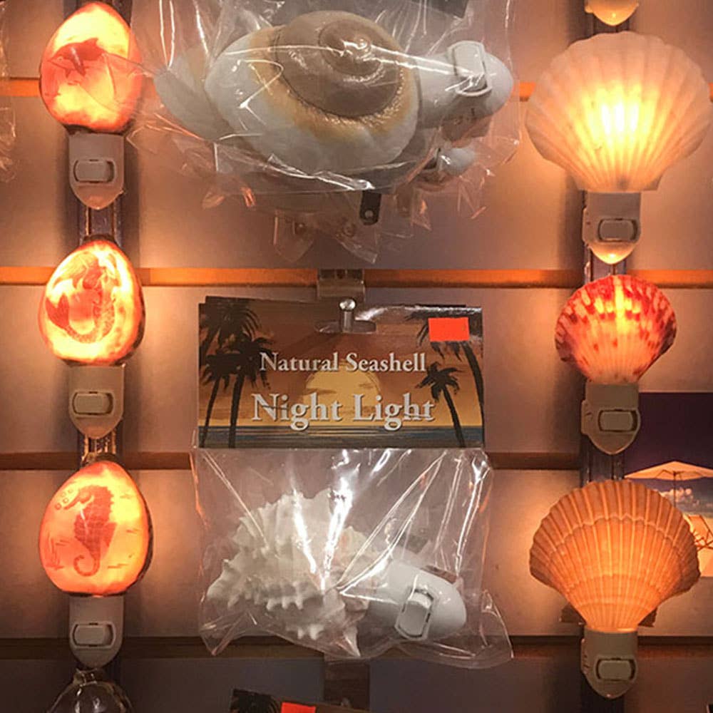 California Seashell Company - Wholesale Night Light - Colorful Irish Scallop Seashell Night Light2