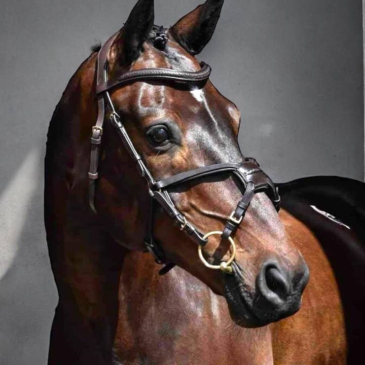 EPONIA EQUESTRIAN LIFESTYLE - Wholesale Horseback riding gear - Bridle - Anatomical Bit lifter on Italian leather0