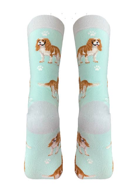 E&S Pets - Wholesale Socks - Unisex - King Charles Cavalier - Fun Novelty Dog Socks - Unisex3