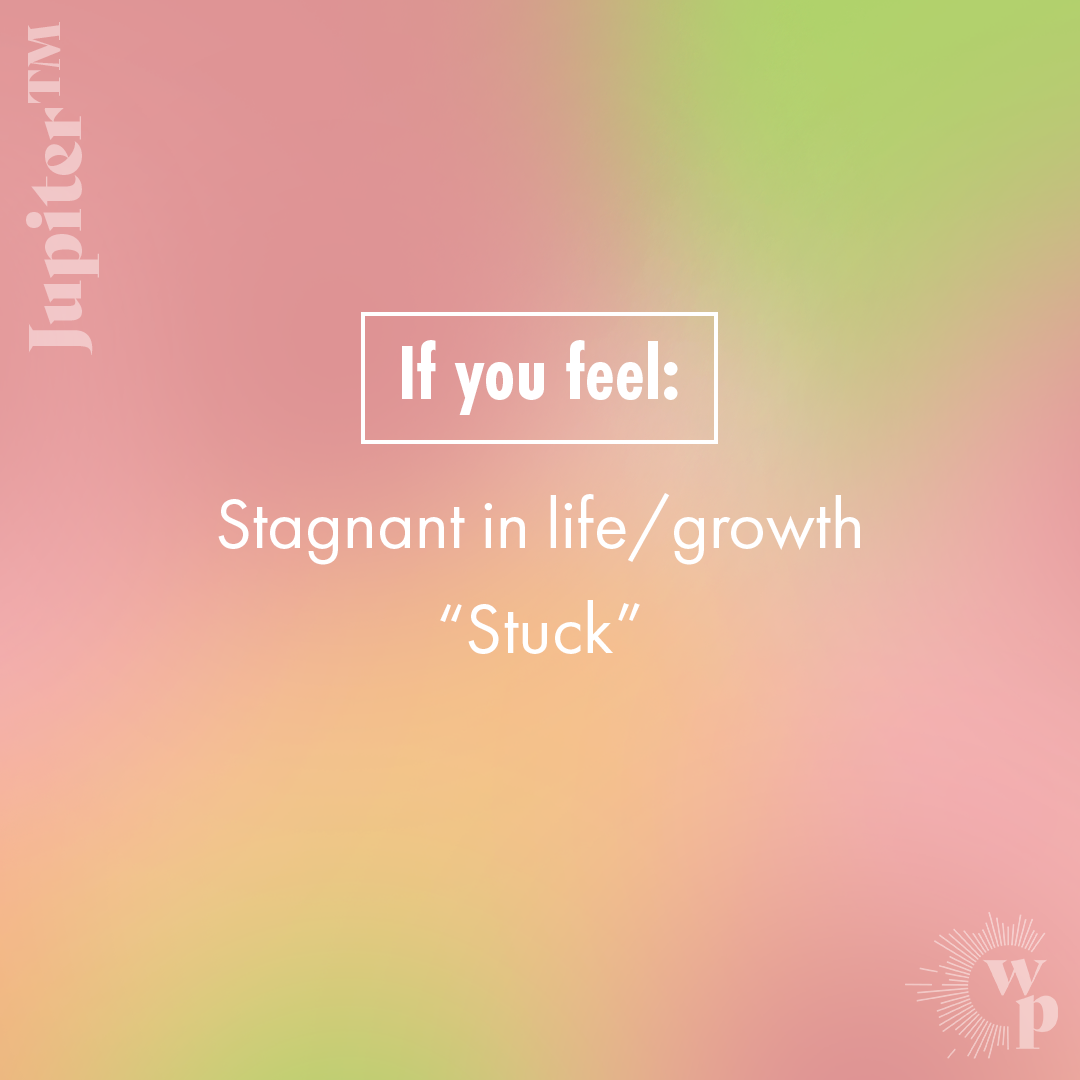 Wild Plenty Flower Remedies - Vente Essence de fleurs - Jupiter™2