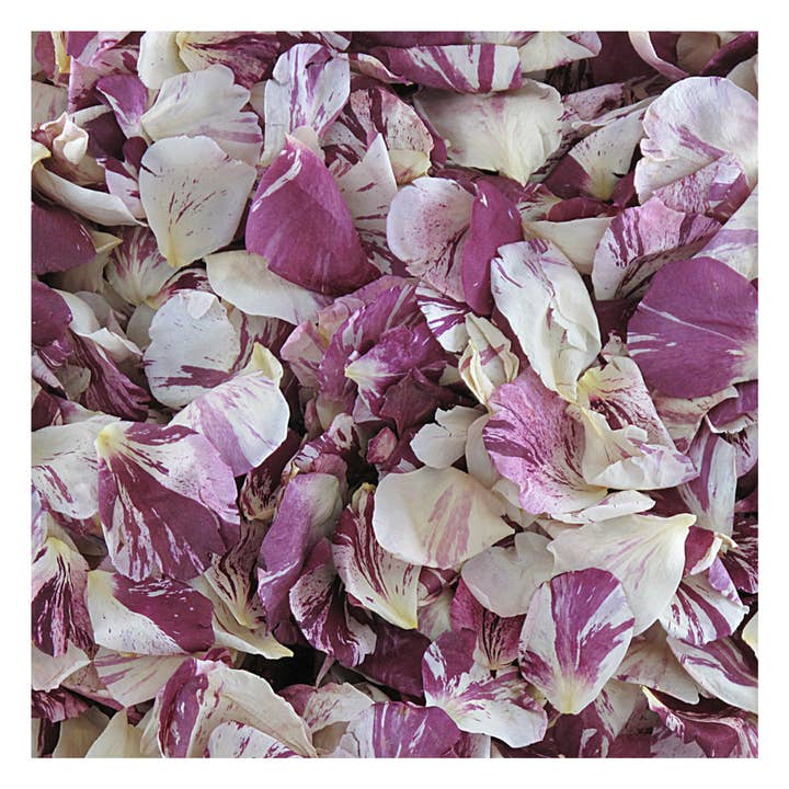 Raspberry Swirl Blend Rose Petals 30 Cups. 100% Natural USA for wholesale by Flyboy Naturals Rose Petals