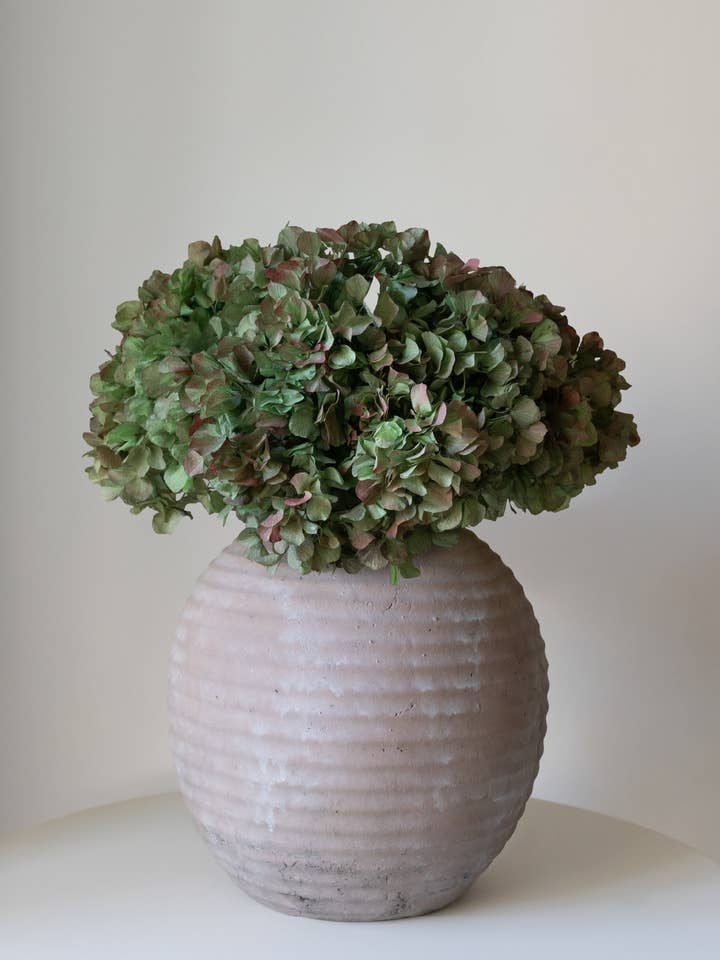 Bouquet of Preserved Hydrangeas for wholesale by Maia Shop