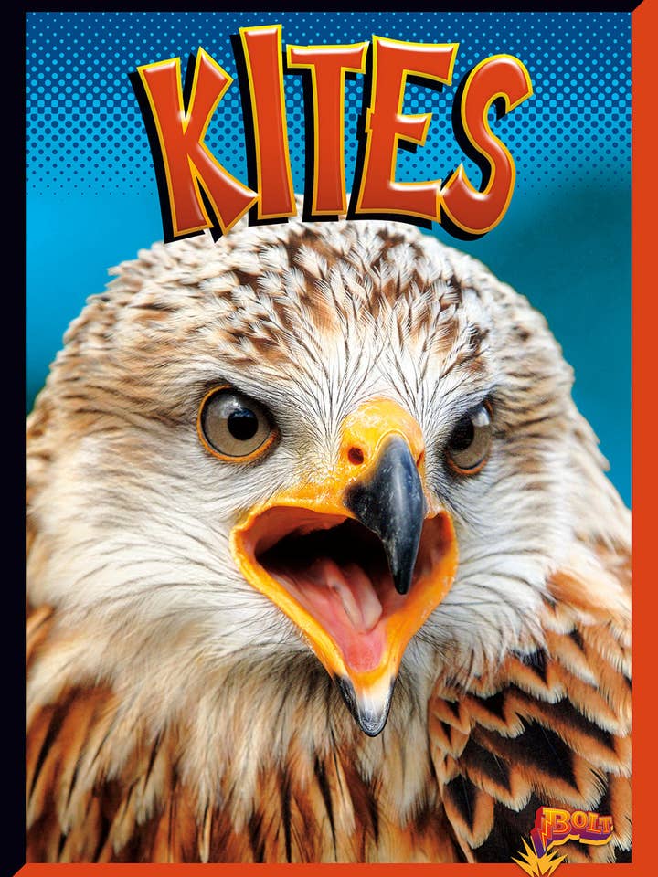 Birds of Prey: Kites for wholesale by Black Rabbit Books