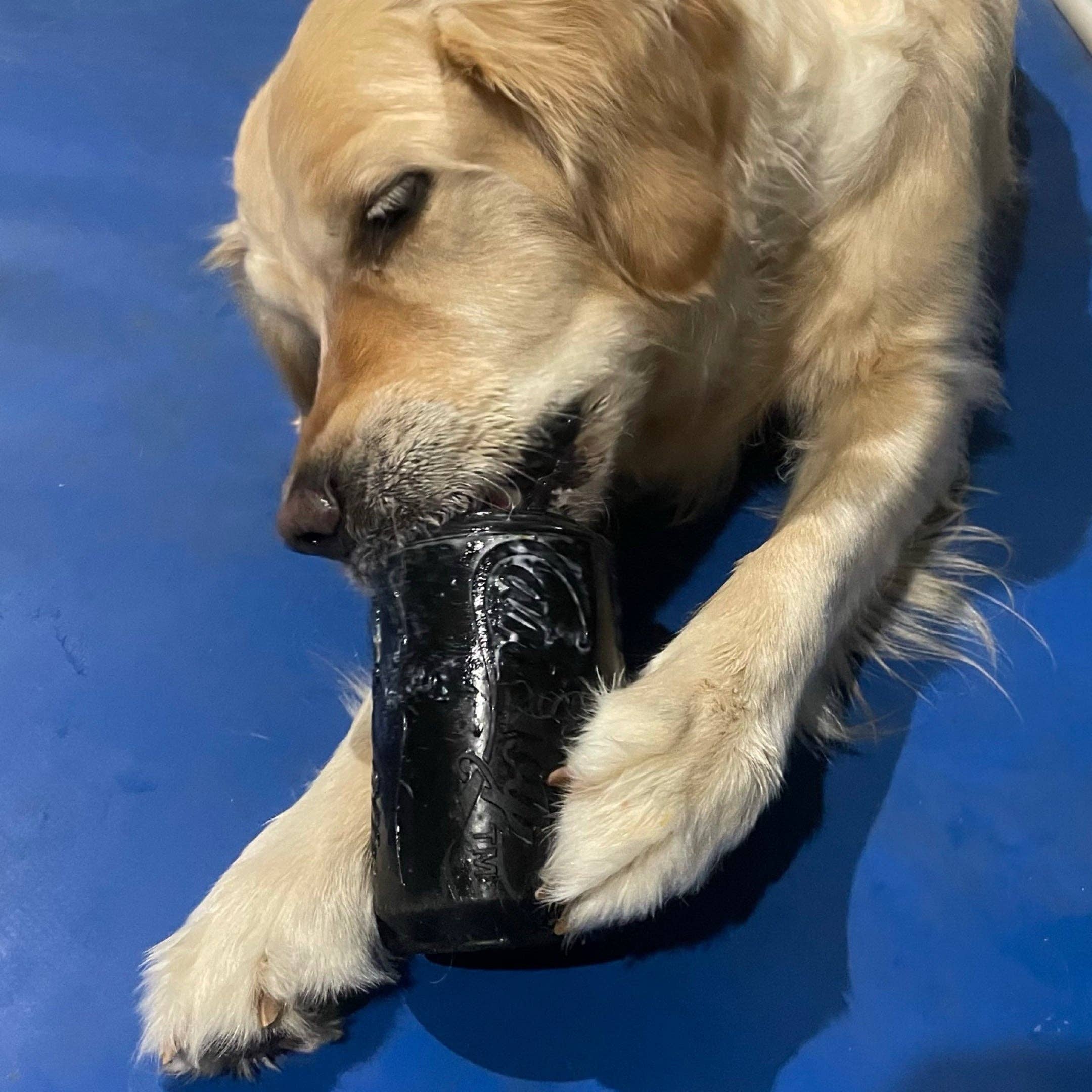 Rover Pet Products - Vendita all'ingrosso Giocattolo da masticare - Cani - Giocattolo Magnum Can (Power Chewers)12