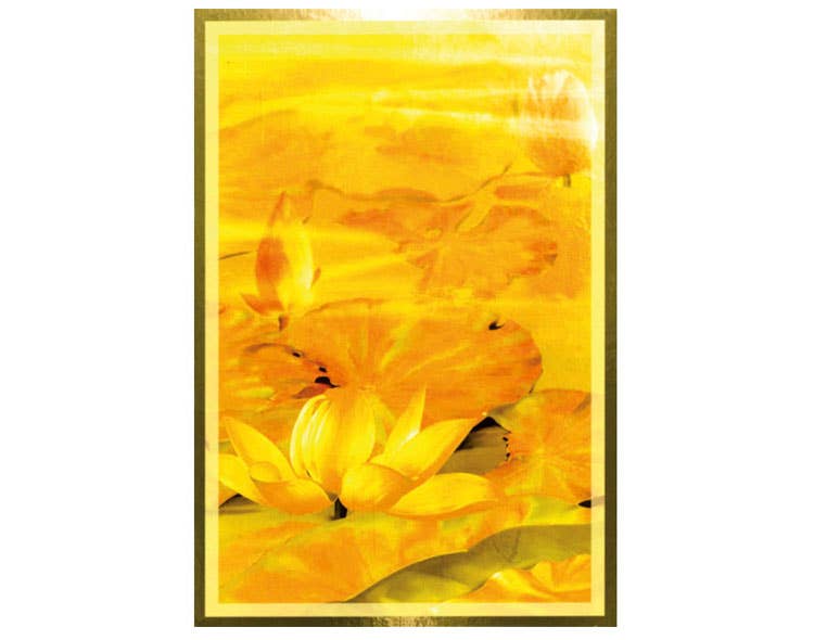 Crystal Magick Wholesale Ltd - Wholesale Tarot Cards - Wisdom of the Golden Path1