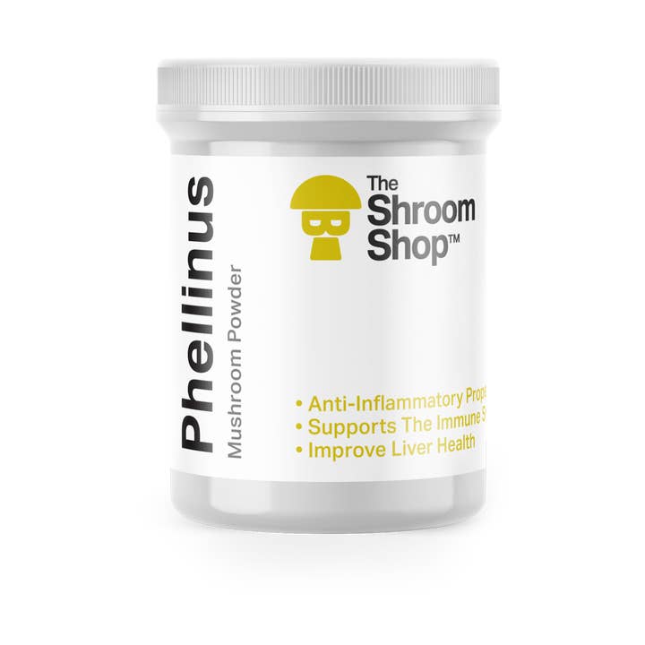 Phellinus Mushroom Powder for wholesale by The Shroom Shop