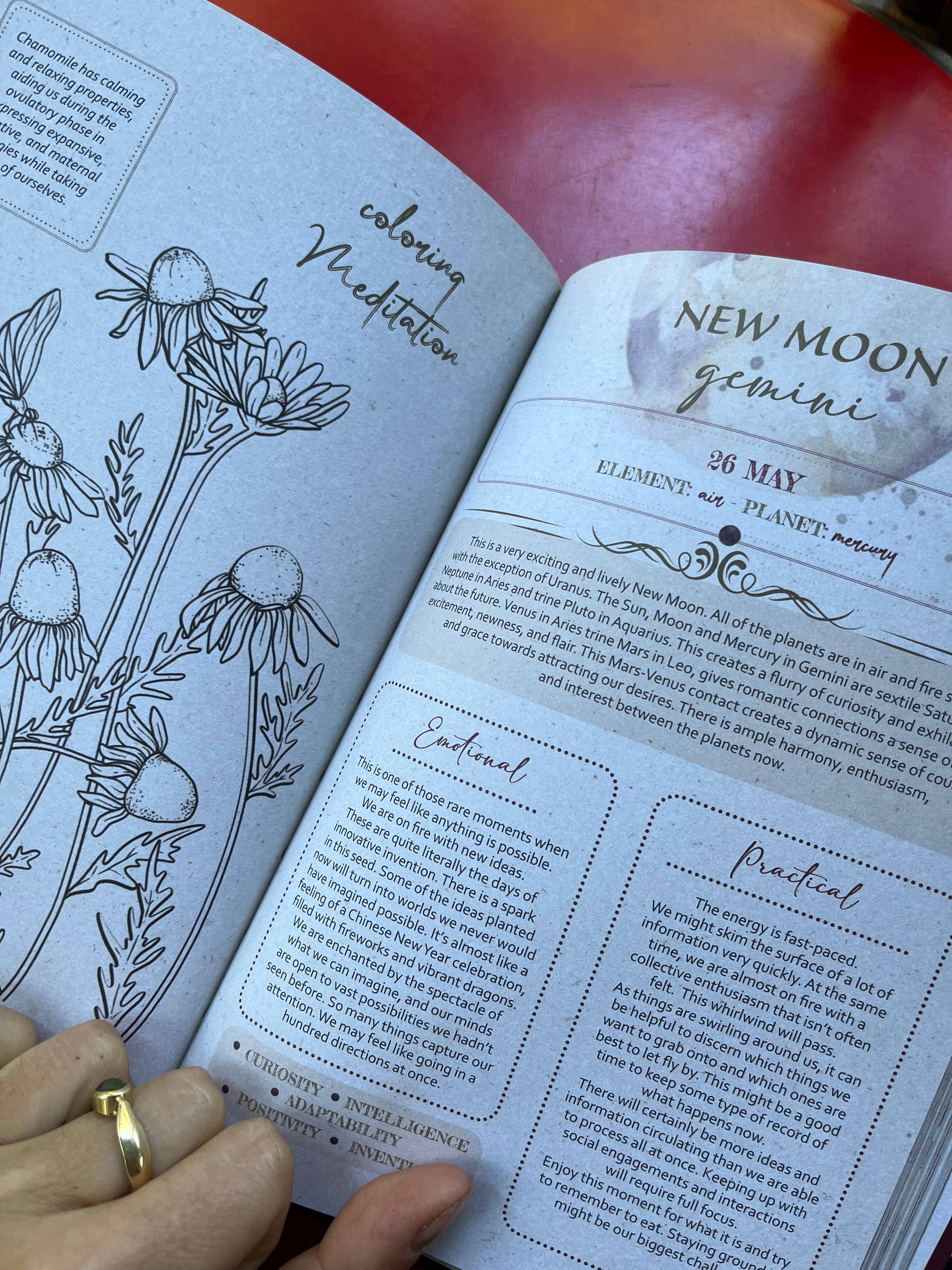 moon seeds – Engroshandel Dagbog – Moon Seeds 2025 - Årsplanlægger til selvindsigt og menstruationscyklus6