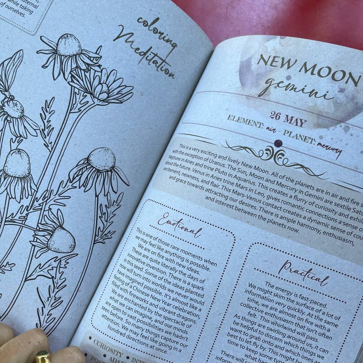 moon seeds – Engroshandel Dagbog – Moon Seeds 2025 - Årsplanlægger til selvindsigt og menstruationscyklus6