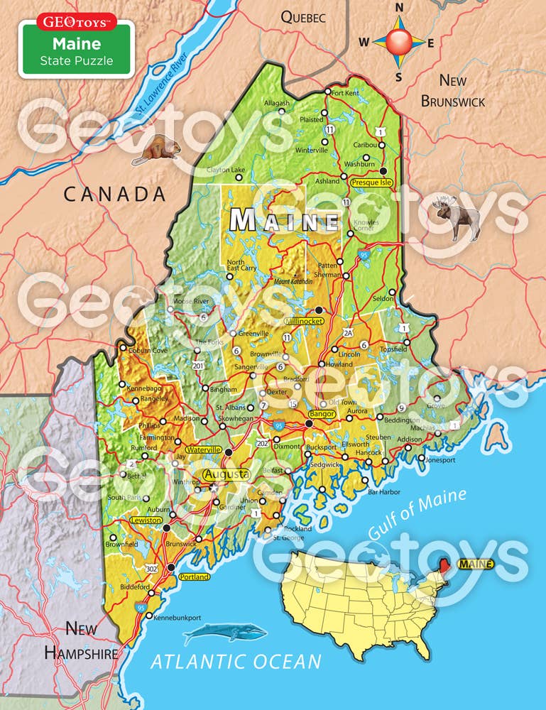 Geotoys - Wholesale Puzzle - Adult - Geotoys 100 Piece Magnetic Puzzle - Maine1