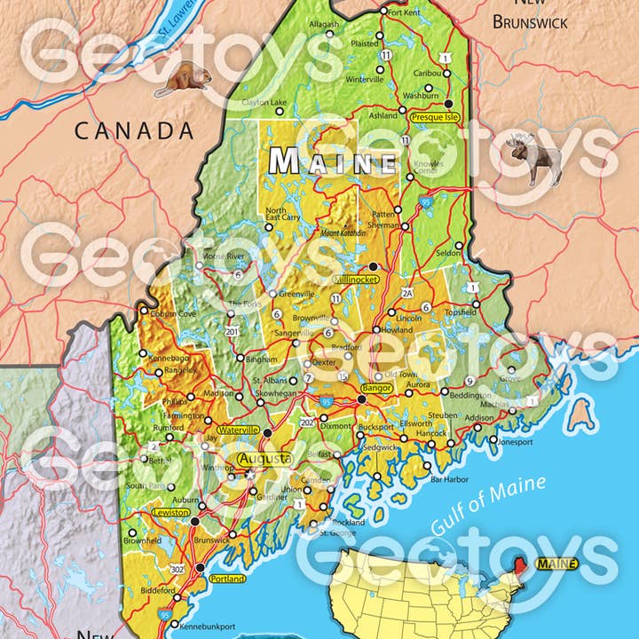 Geotoys - Wholesale Puzzle - Adult - Geotoys 100 Piece Magnetic Puzzle - Maine1