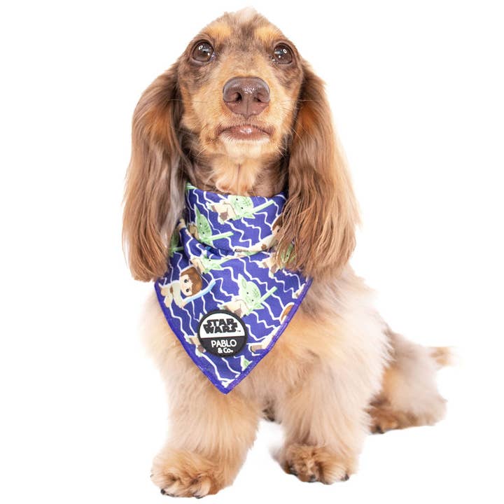 Pablo & Co. Boutique - Wholesale Pet bandana – Dog - Luke Skywalker & Yoda: Dog Bandana1