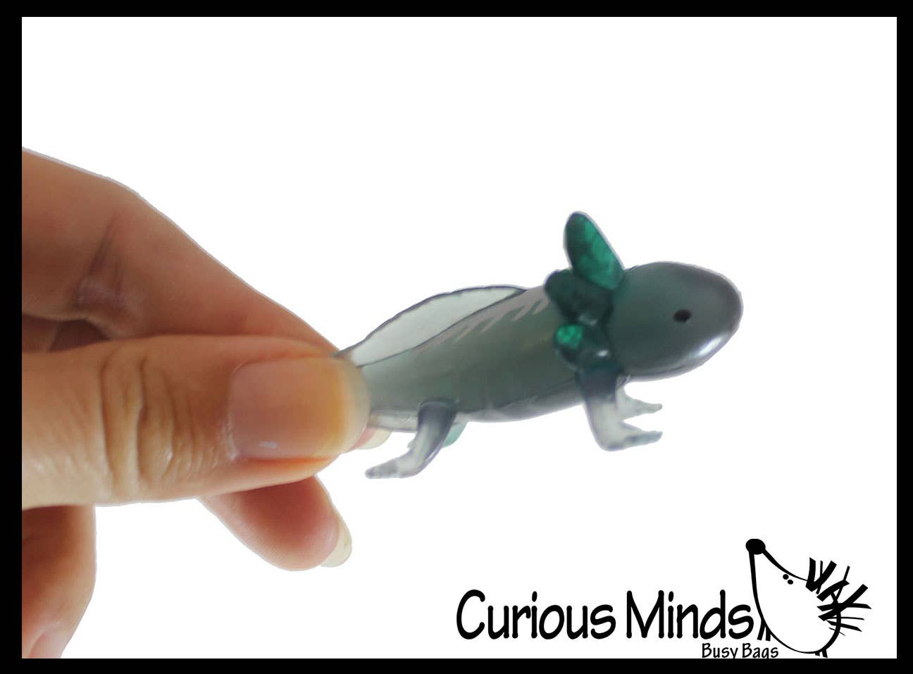 Curious Minds Toys – wholesale Fidget Toy - Barn – 1 påse med 12 realistiska 2,5" färgglada små axolotler-figurer9