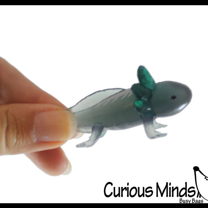 Curious Minds Toys – wholesale Fidget Toy - Barn – 1 påse med 12 realistiska 2,5" färgglada små axolotler-figurer9