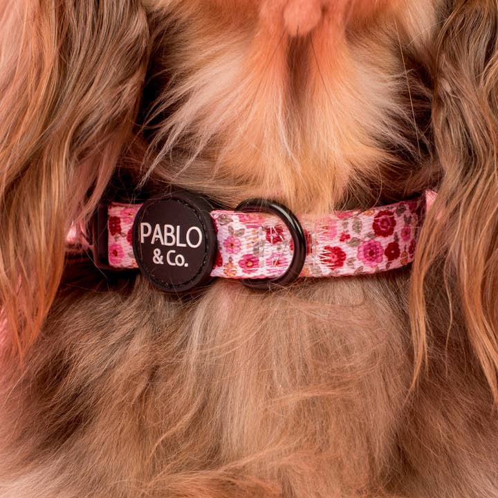Pablo & Co. Boutique - Vente Collier – chien - Primrose : Collier pour chien1