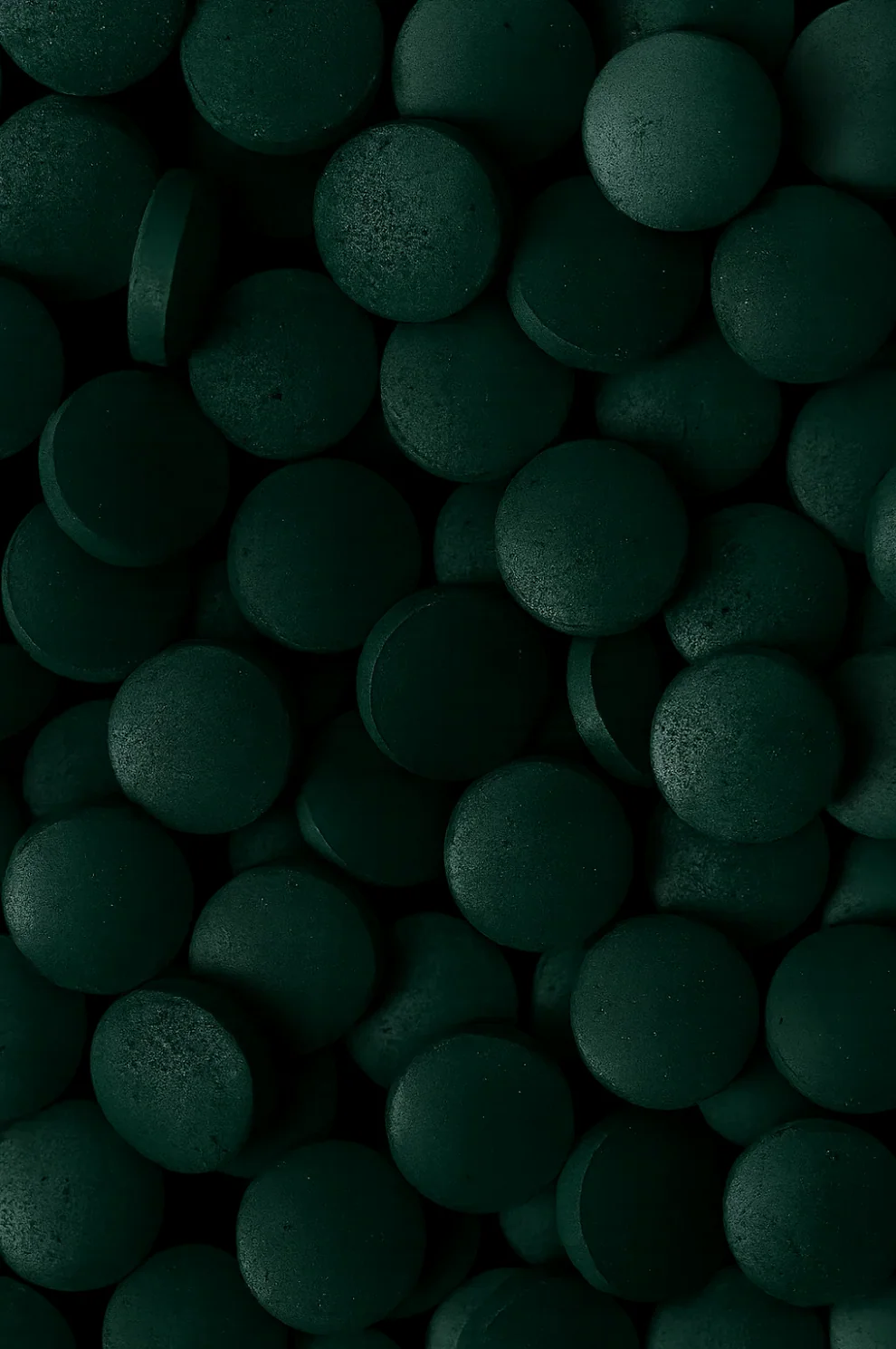 Vegalia - Wholesale Oral Supplement/Vitamin - Organic chlorella tablets (500cp)1