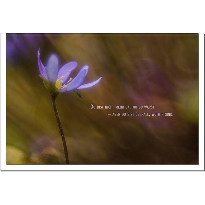 metALUm Trauerkarte B6 – Beileidskarte Blüte mit Zitat „Du bist nicht mehr da, wo du warst“ mit weißem Umschlag für den Großhandel von metALUm