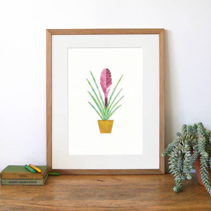 Tillandsia A4 Print for wholesale by Paperwhale Cards & Paper Goods
