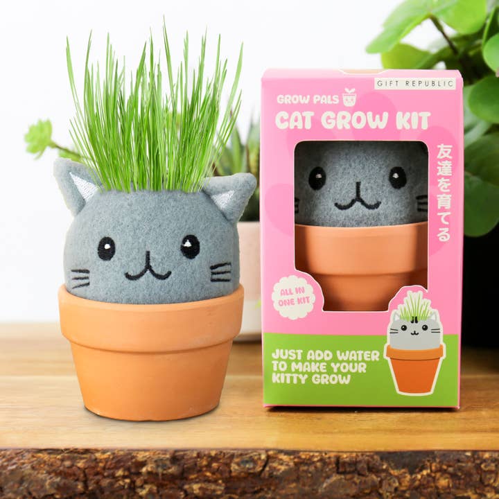 GROW PALS - CAT for wholesale by Gift Republic