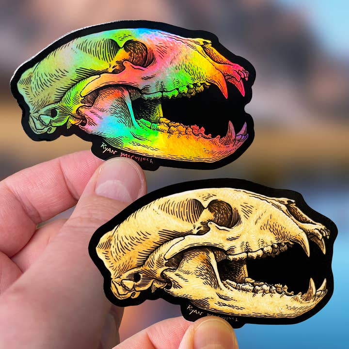 VINYL or HOLO STICKER: Bear Skull (Stoic Americana) for wholesale by Ryan McCulloch Art