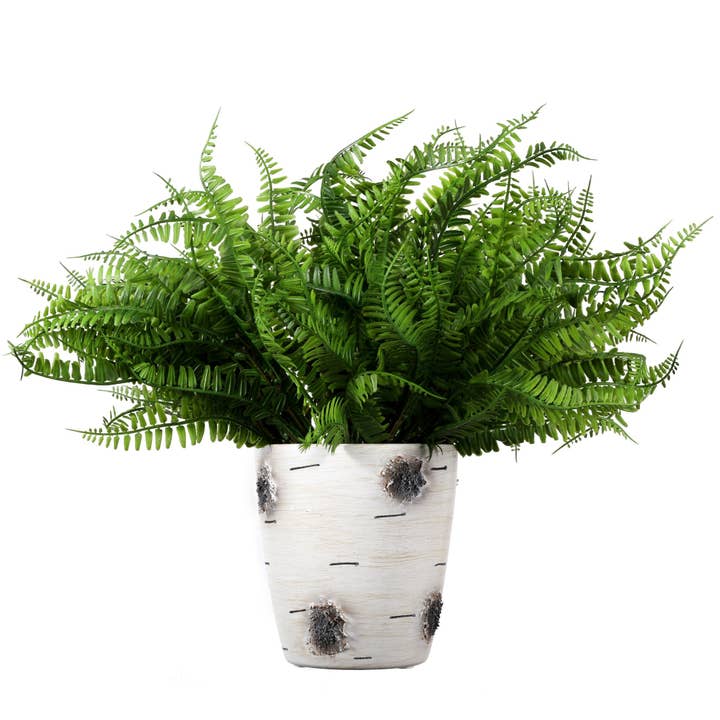 Grand Verde - Wholesale Artificial Plant - Boston Ferns 16” Artificial Plants Plastic Greenery, 10pcs11