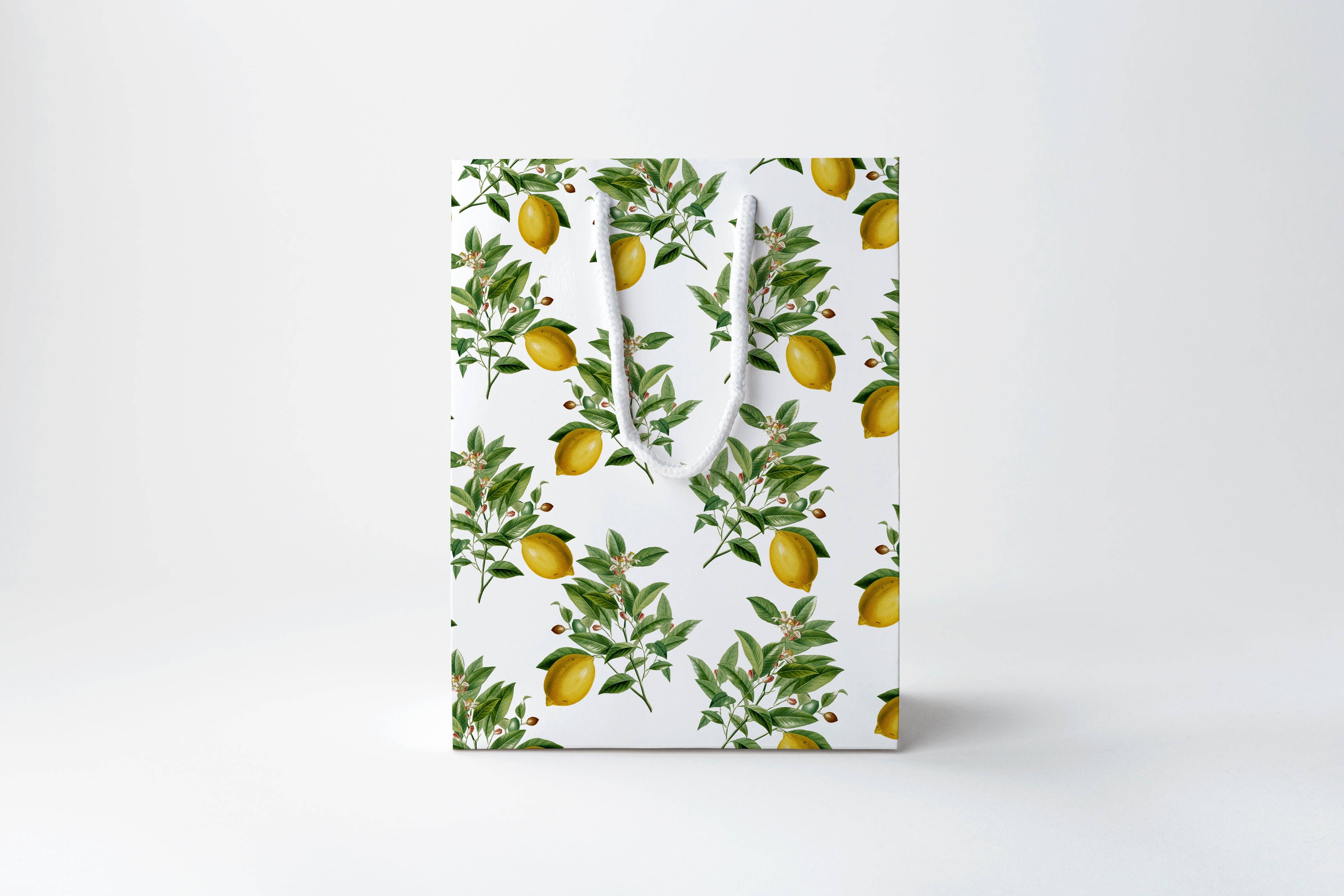JOSIL Paperie & Gift - Wholesale Gift Bag - Vintage Lemon Gift Bag0