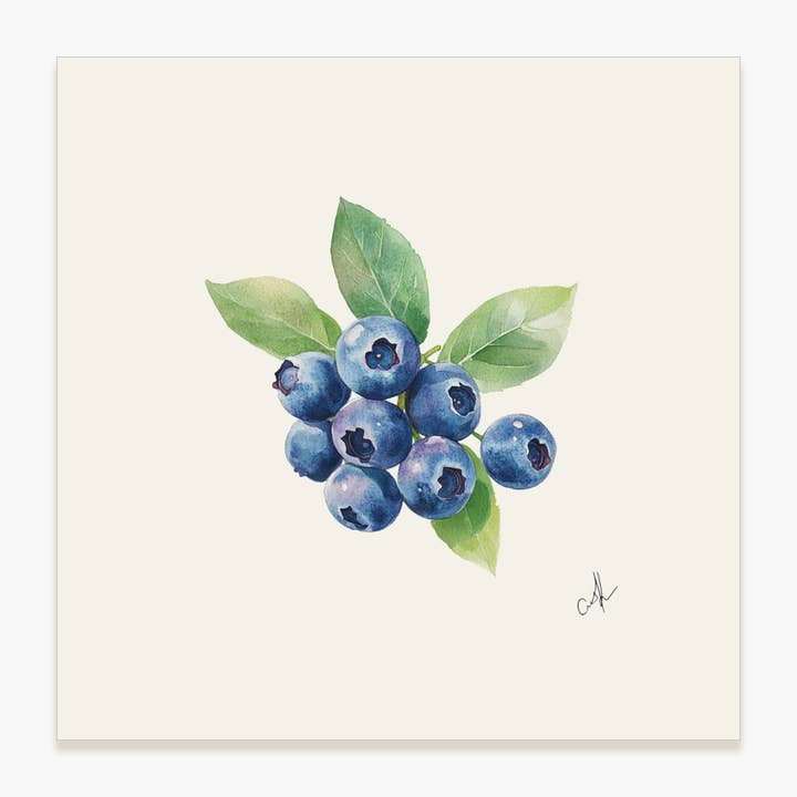 Blåbär - Oinramad konsttryck för wholesale av Saltbox & Company