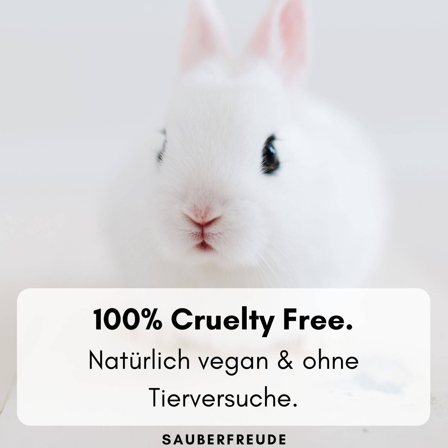 Sauberfreude - Wholesale Liquid Laundry Detergent - Organic liquid detergent orange blossom4