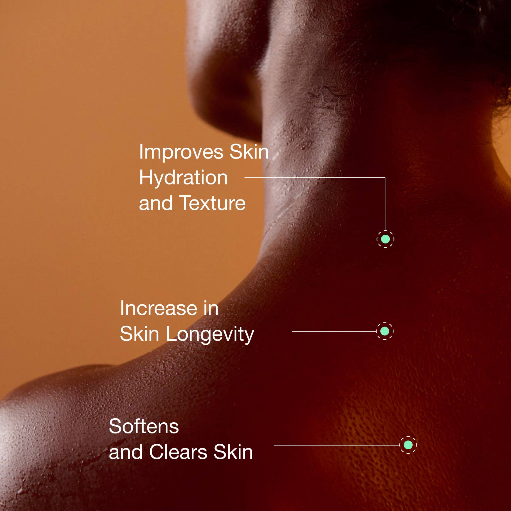 Filterbaby - Wholesale Shower Head - Filterbaby Diamond Series Shower Filter - Gold (By Case)3