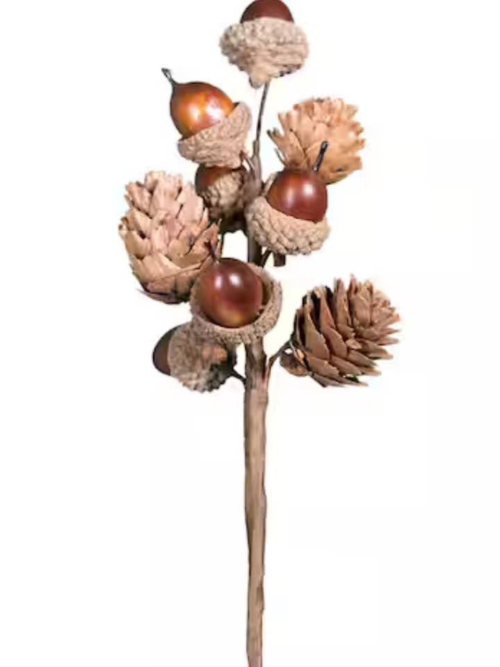 Acorn picks floral DIY centerpiece for wholesale by Champion Greens Forest farm