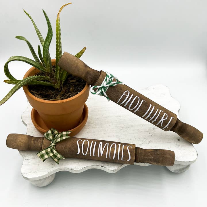 Ruaille Buaille Co – Großhandel Tischdeko – Mini-Pflanzenwälzholz | Sukkulentendekor | Dekor für Pflanzenliebhaber4