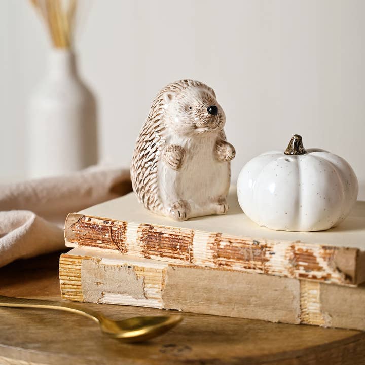 WIDDOP and Co. - Vendita all'ingrosso Servizio da tavola - Country Living Hedgehog - Set sale e pepe