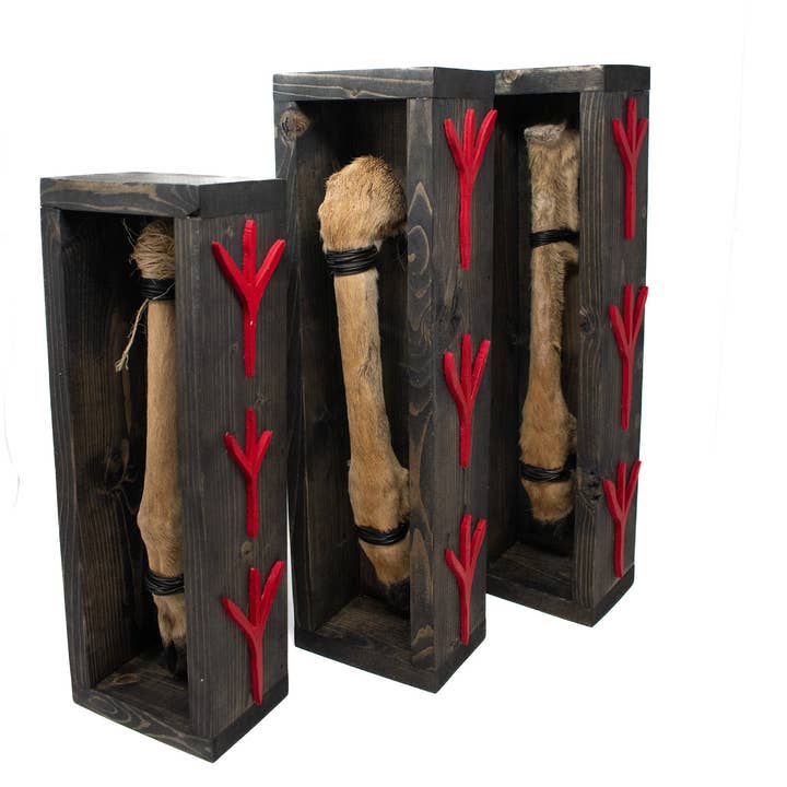 patte de cerf emballée pour la vente par Oreamnos Oddities