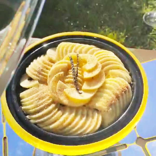 Solar Brother - Wholesale Kitchen Appliance - SUNGOOD+COSMO solar oven5