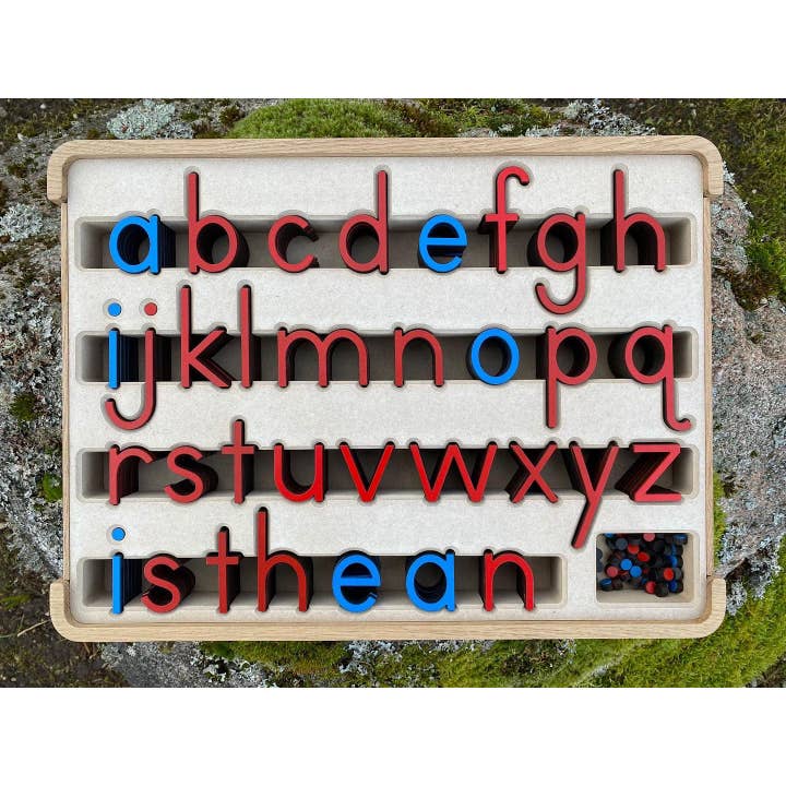 "English Moveable Alphabet" for wholesale by 3R KIDS