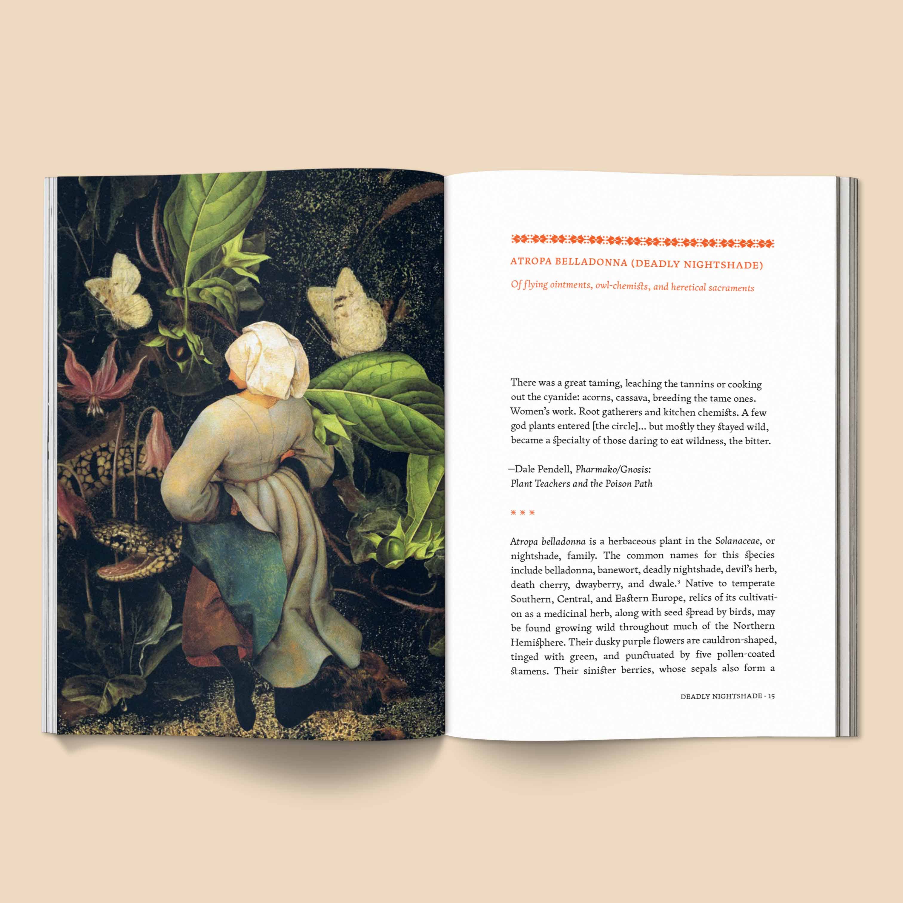 Broccoli - Vente Folklore et mythologie - The Invisible Harvest - Livre2