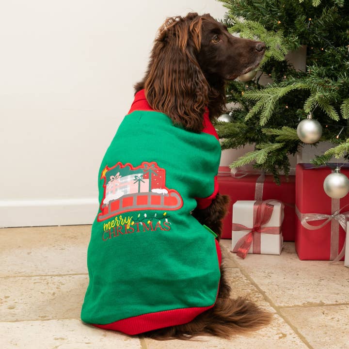 Hugo & Hudson - Venta al por mayor Jersey - Perros - Suéter navideño con cuello alto y trineo de Santa para perro3