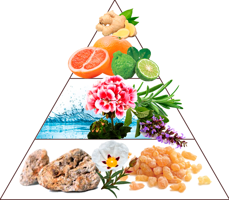 Compositeur de Parfums - Wholesale Perfume/Eau de Toilette - Monte Carlo1