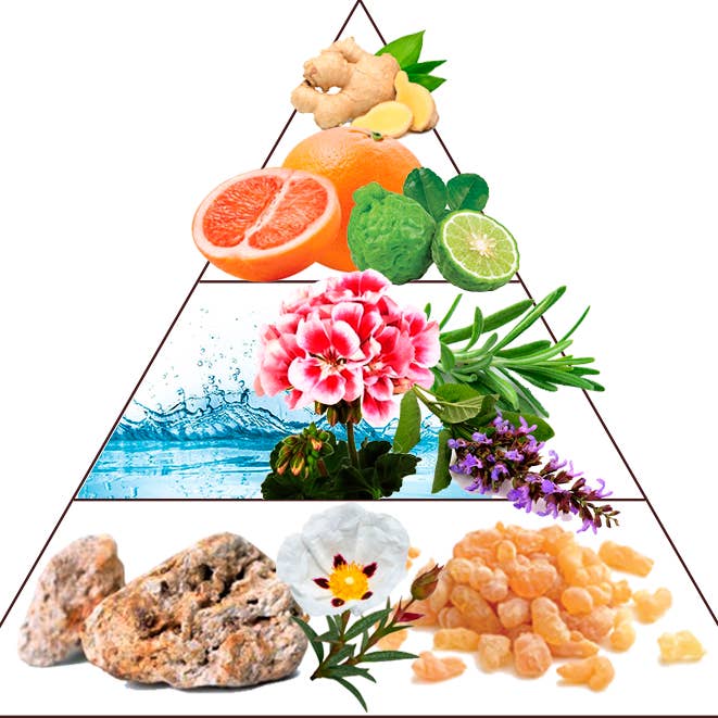 Compositeur de Parfums - Wholesale Perfume/Eau de Toilette - Monte Carlo1