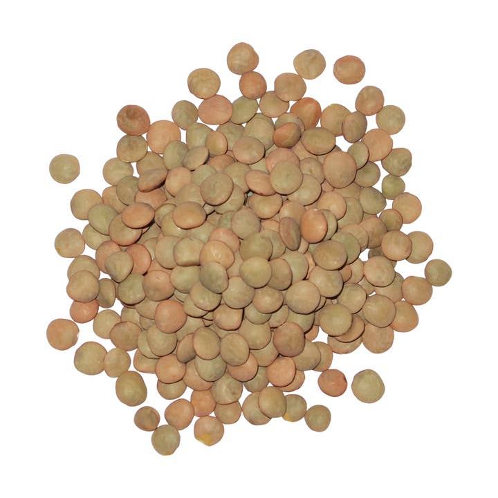 Edison Grainery - Wholesale Beans - Edison Grainery Organic Green Lentils 16 oz2
