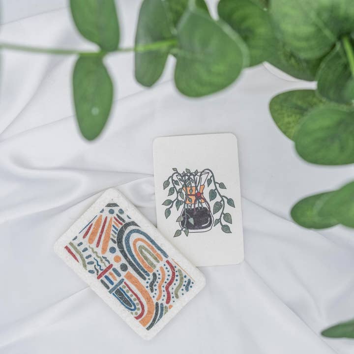 Éponge à vaisselle escamotable en cellulose pour la vente par Greenland & Co